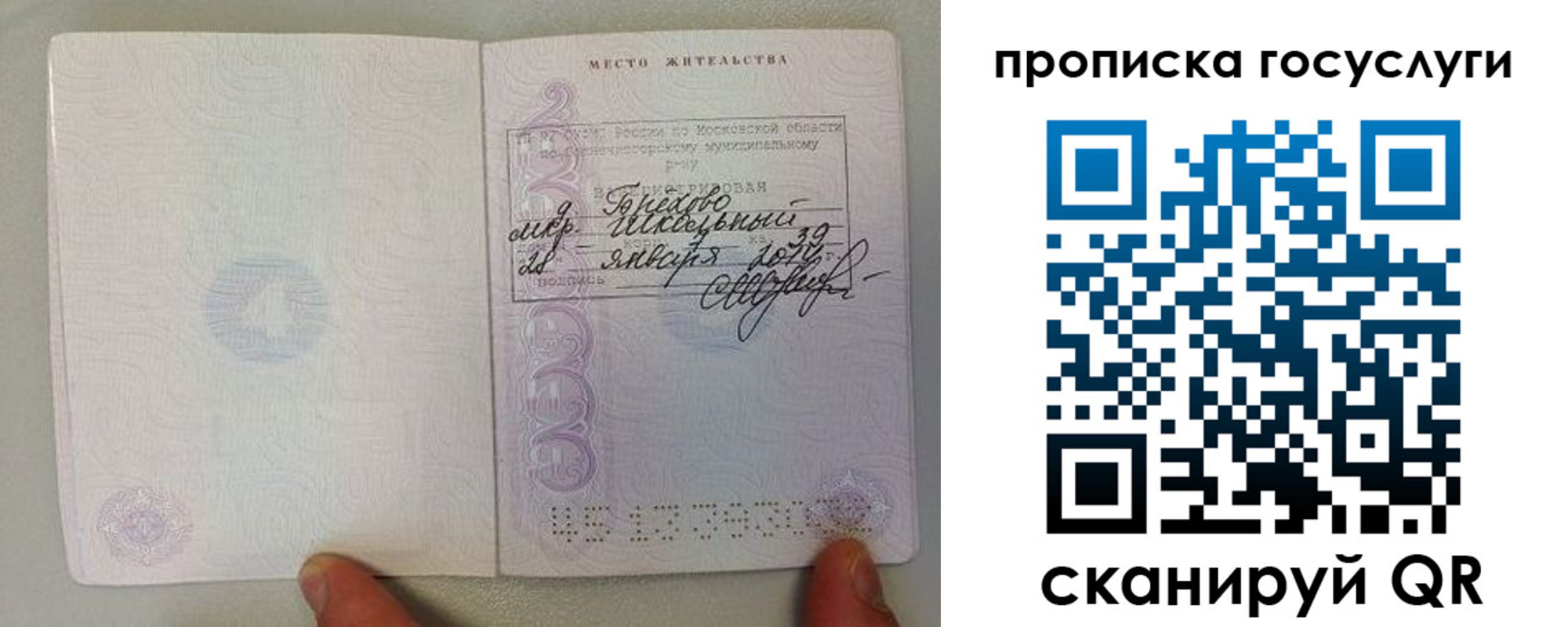 временная регистрация для всех в Ельне